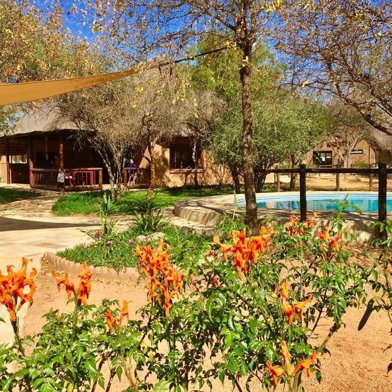 Golden Impalas Bush Resort Hammanskraal Esterno foto